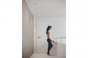 brant-square (1)